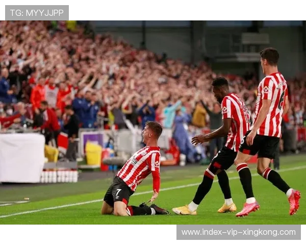 布伦特福德与纽卡斯尔进攻火力与防守稳健度全面对比分析